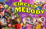 Cyrk - Circus Melody w Toruniu